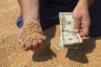 Россия грезит о бирже зерна без доллара